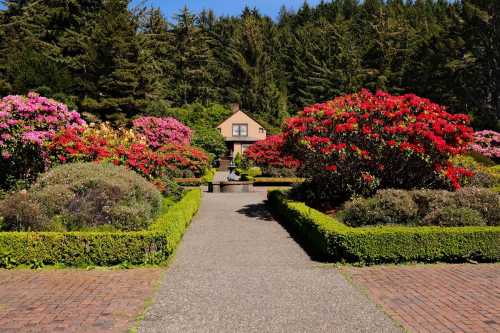 A scenic garden pathway lined with vibrant pink and red flowers, leading to a house surrounded by lush greenery.