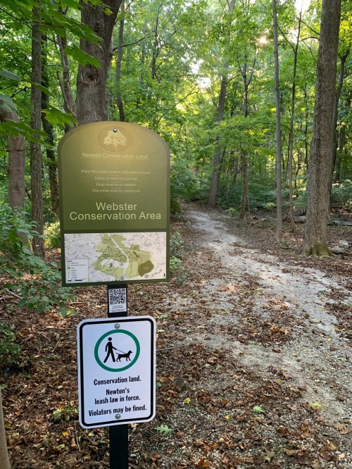 Sign for Webster Conservation Area in Newton, with a trail visible in a wooded setting. Leash law notice posted.