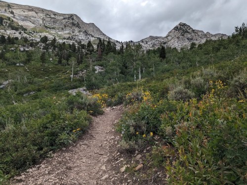 A winding dirt trail leads through lush greenery and wildflowers, surrounded by rocky mountains under a cloudy sky.