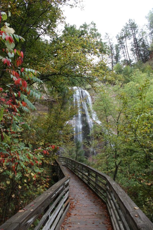 A wooden walkway leads through lush greenery to a cascading waterfall in a serene forest setting.