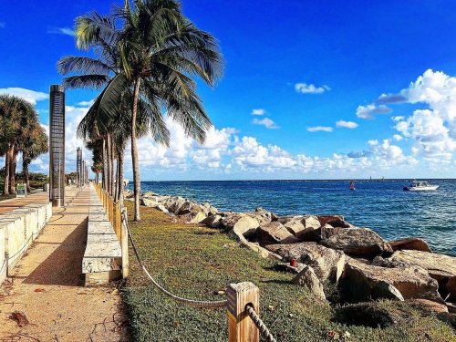 A scenic waterfront view with palm trees, a pathway, and rocks along the shore under a bright blue sky.