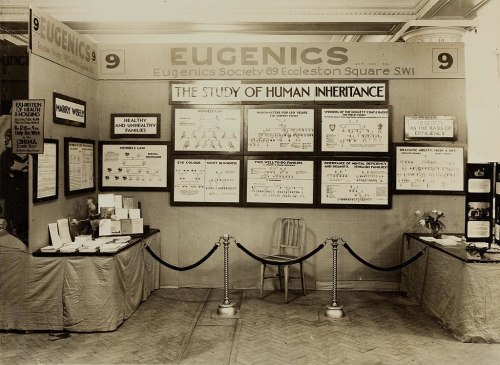 Historical exhibition on eugenics, featuring displays on human inheritance and health, with tables and informational panels.