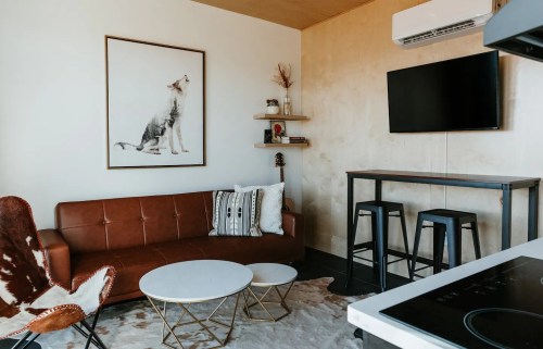 Cozy living space with a brown sofa, coffee table, wall art of a dog, and a TV mounted above a small kitchen area.