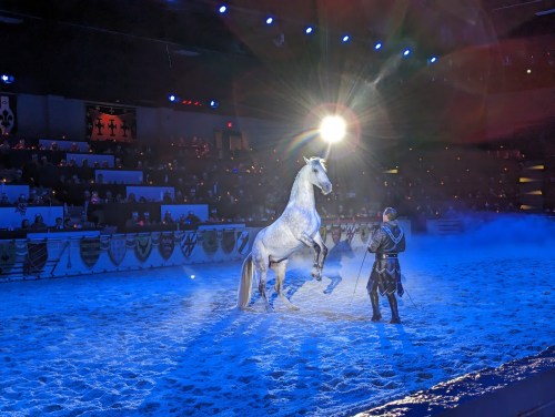 A knight in armor commands a rearing white horse in a brightly lit arena, with an audience in the background.