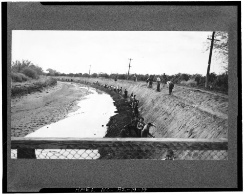 Workers digging along a riverbank, with power lines and trees in the background, captured in black and white.