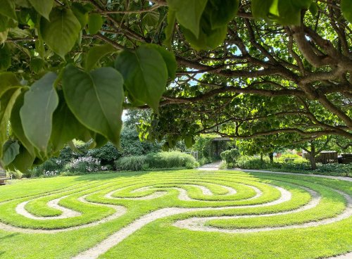 A green labyrinth made of grass, surrounded by trees and plants, under a clear blue sky.