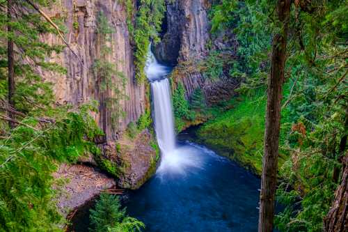 A serene waterfall cascades into a lush green pool, surrounded by towering trees and rocky cliffs.