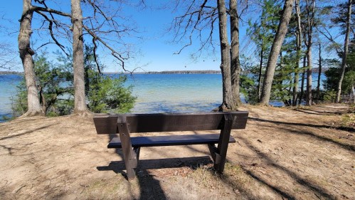 A wooden bench facing a serene lake, surrounded by trees under a clear blue sky.