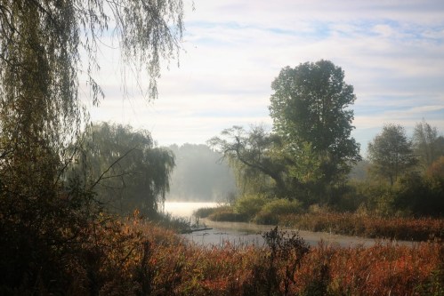 A serene misty landscape featuring a calm river, lush trees, and vibrant autumn foliage under a soft morning light.