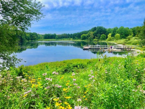A serene lake surrounded by lush greenery and colorful wildflowers, with a dock and people in the distance.
