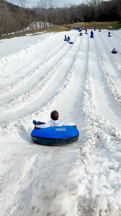 A snowy hill with people tubing down in blue inner tubes, surrounded by trees and a clear sky.