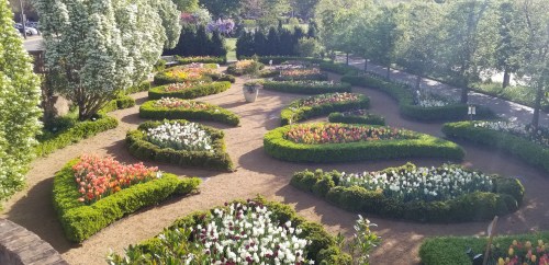 Aerial view of a beautifully landscaped garden with colorful flower beds arranged in winding patterns.