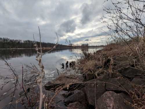 A calm river scene with rocky shore, dry grass, and cloudy skies reflecting on the water's surface.