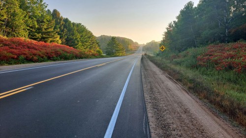 A quiet road lined with trees and vibrant autumn foliage, leading into the distance under a clear sky.