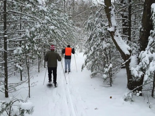 Two people snowshoeing on a snowy trail surrounded by trees, one wearing an orange vest and the other in a striped hat.