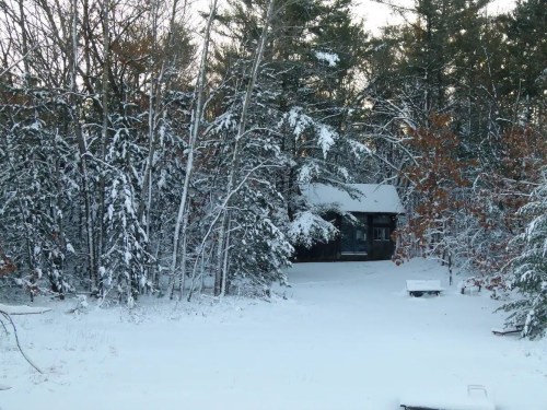 A snowy landscape with trees and a cabin partially visible in the background, creating a serene winter scene.