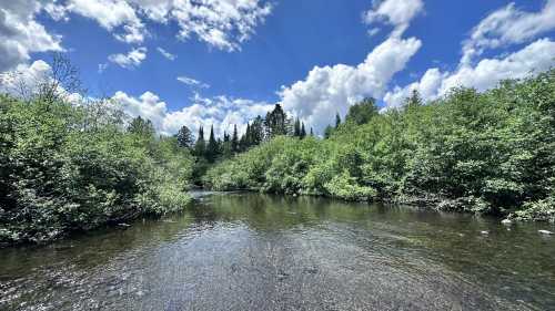 A serene river flows through lush greenery under a bright blue sky with fluffy clouds.