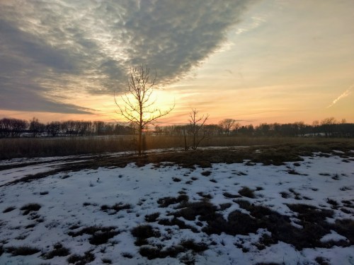 A serene landscape at sunset, featuring a tree, snow-covered ground, and a colorful sky with clouds.