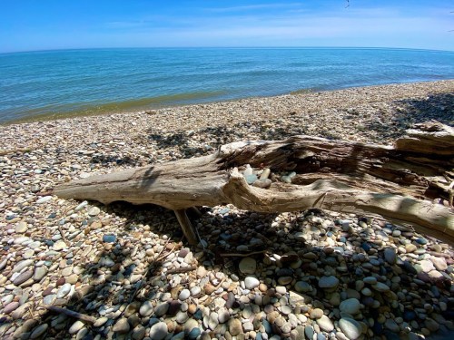 A serene beach scene with smooth pebbles, a driftwood log, and calm blue waters under a clear sky.