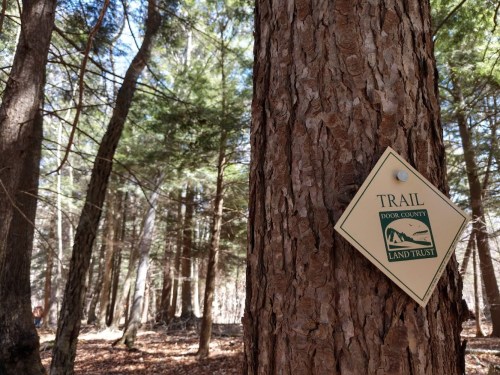A trail sign attached to a tree in a dense forest, indicating the Door County Land Trust trail.