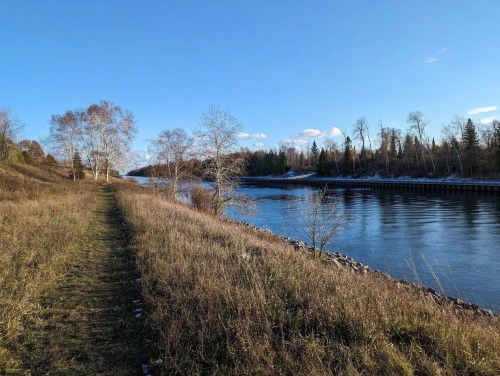 A serene river scene with a grassy path, trees lining the banks, and a clear blue sky.