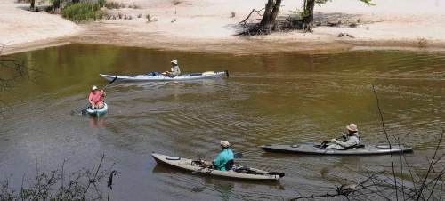 Four people kayaking on a calm river, surrounded by sandy banks and greenery.