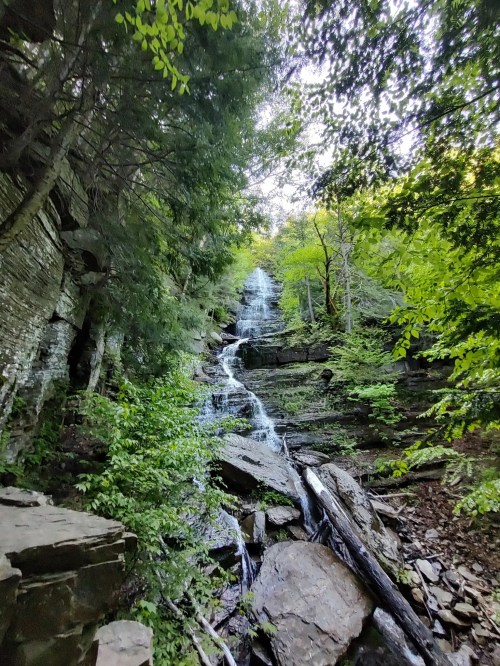 A serene waterfall cascading down rocky terrain, surrounded by lush green trees and foliage.