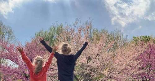 Two children with arms raised joyfully in front of blooming pink trees under a bright sky.