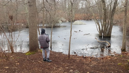 A person stands by a frozen pond surrounded by bare trees, observing the still winter landscape.