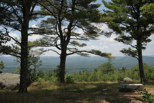 A scenic view of rolling hills and valleys framed by tall trees under a partly cloudy sky.