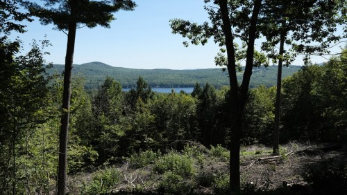 A serene landscape featuring a lake surrounded by lush green trees and distant hills under a clear blue sky.