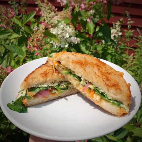 A toasted sandwich filled with fresh vegetables, served on a white plate against a backdrop of greenery.