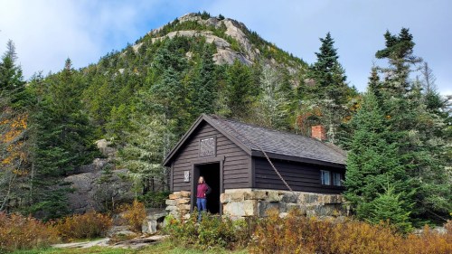 A small wooden cabin surrounded by trees, with a mountain in the background and a person standing at the door.