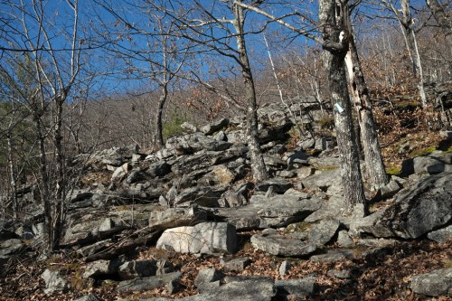 Rocky terrain with scattered boulders and bare trees under a clear blue sky.