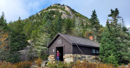 A person stands at the entrance of a rustic cabin surrounded by tall trees and a mountain in the background.