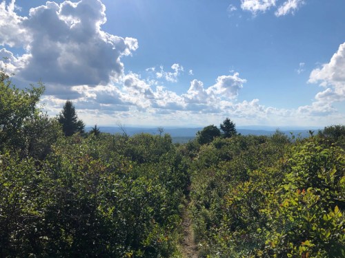 A scenic view of a hiking trail surrounded by lush greenery and distant mountains under a partly cloudy sky.