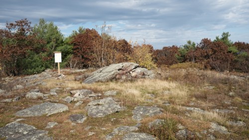 A rocky landscape with sparse grass and trees, featuring a blank signpost against a cloudy sky.