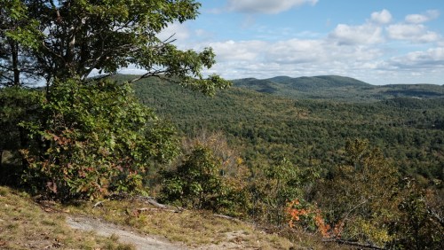 A scenic view of rolling green hills under a partly cloudy sky, framed by trees in the foreground.