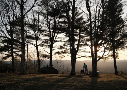 A person and a dog stand among tall trees at sunset, with a scenic view of mountains in the background.