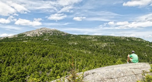 A person sits on a rocky outcrop, overlooking a lush green forest and a distant mountain under a blue sky with clouds.