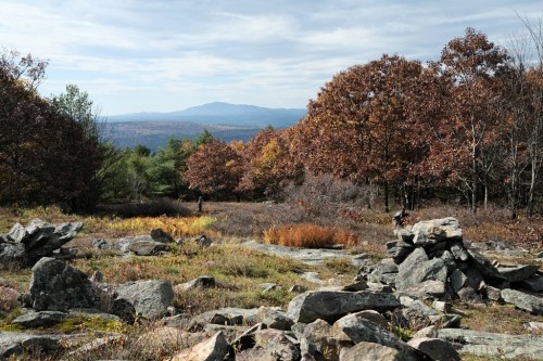 A scenic view of autumn foliage with colorful trees, rocky terrain, and distant mountains under a cloudy sky.
