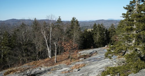 A scenic view of a rocky landscape with trees and distant mountains under a clear blue sky.