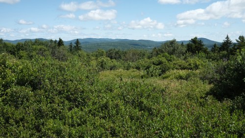 A lush green landscape with rolling hills and a cloudy blue sky in the background.