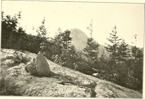 A rocky landscape with a small stone in the foreground and trees, set against a distant mountain peak.