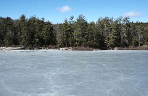 A frozen lake surrounded by trees under a clear blue sky.