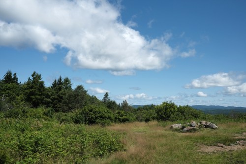 A scenic landscape featuring green shrubs, tall grass, and a blue sky with fluffy clouds. Rocky outcrops are visible.