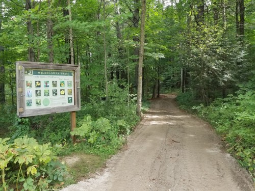 A dirt path leads into a lush green forest, with a sign for the Wildflower Trail on the left.