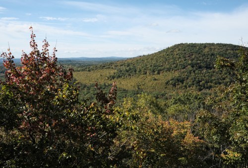 A scenic view of rolling hills covered in trees, with a clear blue sky and hints of autumn foliage.