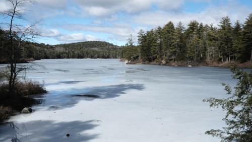 A serene frozen lake surrounded by trees under a partly cloudy sky.