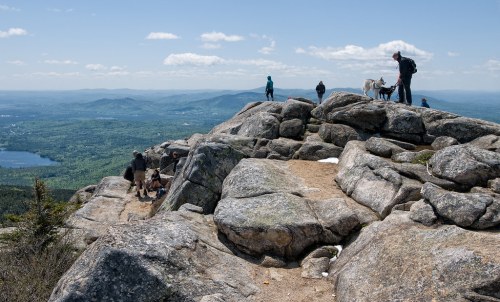 Hikers and dogs on rocky summit with panoramic views of green mountains and a lake under a blue sky.